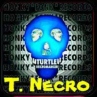 Picture for song 'Chin Up' by artist 'Turtle Necromancer'