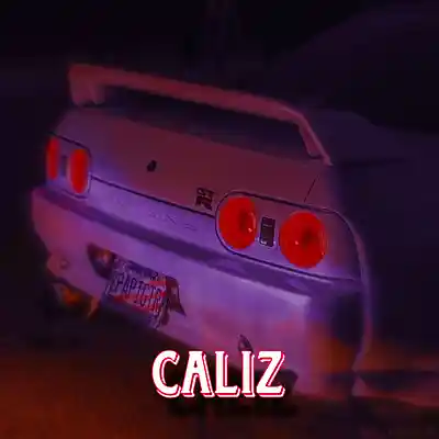 Picture for song '[FREE] "CALIZ" Pluggnb x Trap x Drum and Bass' by artist 'TygerontheTrack'