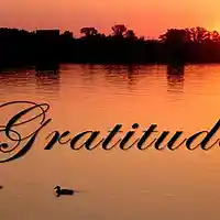 Picture for song 'Gratitude' by artist 'Ascenzion - Al Massey'