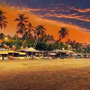 Picture for song 'BOA' by artist 'Beat-On'