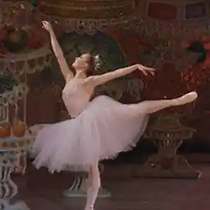 Picture for song 'Danza del Hada de Azucar' by artist 'Cecil Vittar'