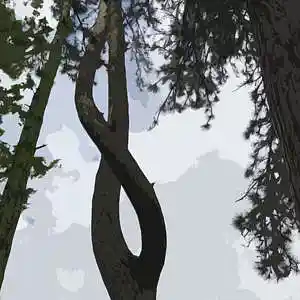 Picture for song 'Directions' by artist 'dzheyms'