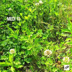 Picture for song 'Medi 13' by artist 'Eizi Hirahara'