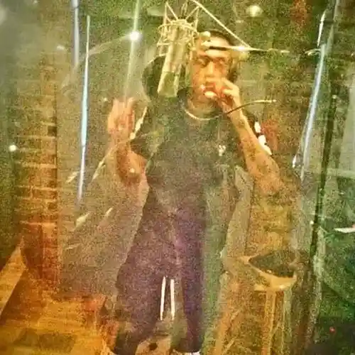 Picture for song 'The Intro' by artist 'Icy Duck'