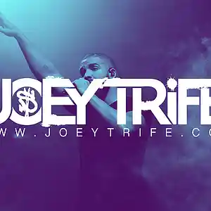 Picture for song 'Section' by artist 'Joey Trife'