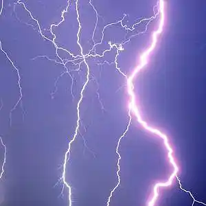 Picture for song 'TRIPPY BELLS (BUY 1 GET 4 FREE) "SAFOO"' by artist 'LONDONAVE'