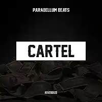 Picture for song 'Cartel **SOLD**' by artist 'Parabellum Beats'