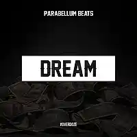 Picture for song 'Dream' by artist 'Parabellum Beats'