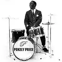 Picture for song 'TO THE BUGS ' by artist 'POKELY PRICE'