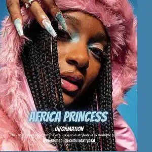 Picture for song 'Afro Dancehall Type Beat - "Africa Princess"' by artist 'Rockify Beat'