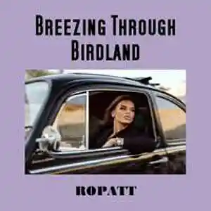 Picture for song 'BREEZING THROUGH BIRDLAND (Demo)' by artist 'Ropatt'