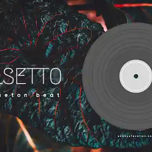 Picture for song 'Swae Lee, Farruko Type Beat " FALSETTO " Reggaet' by artist 'SoundoSphere'