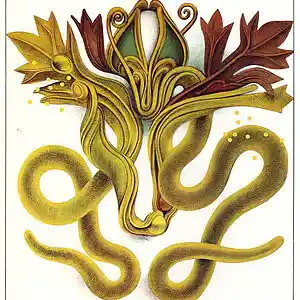 Picture for song 'Paisley Pattern Baldness (Produced by Ace Ha)' by artist 'Uncle Ace Ha'