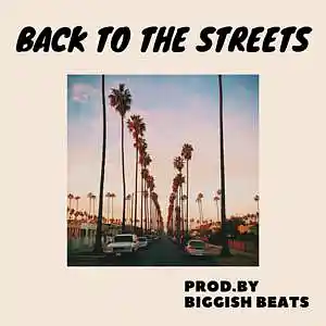 Picture for song 'Back To The Streets (West Coast / Hip Hop) 160 bpm' by artist 'Biggish Beats'