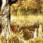 Picture for song 'The End' by artist 'Danny Tallerico'