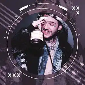 Picture for song 'Pink & Blue - Lil Peep Type Beat' by artist 'Insane BTM'