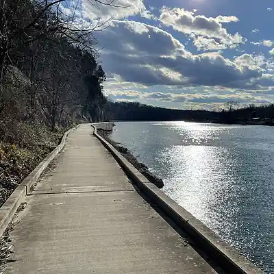 Picture for song 'The Path' by artist 'JACKS ATTACK'