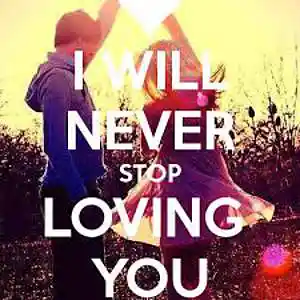 Picture for song 'I'll Never Stop Lovin' You' by artist 'Ron Lehner'