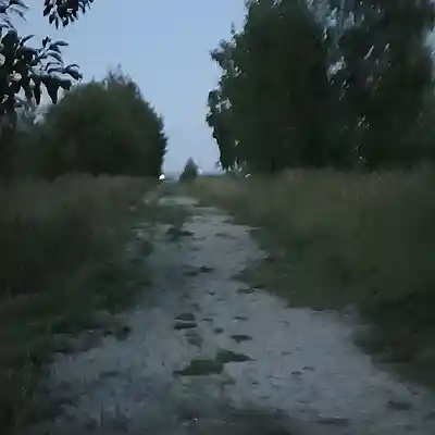 Picture for song '#dirt road (slowed)' by artist 'SadBoyTrey'