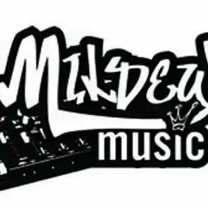 Picture for song 'Evil Genius feat. Young Flanagan' by artist 'Shamroc'