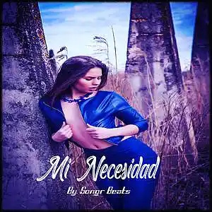Picture for song 'Mi Necesidad' by artist 'Songr Beats'
