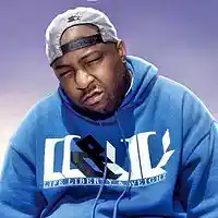 Picture for song 'The Waterfall (Remade)' by artist 'WaltzOnThaSlap (TWaltz)'