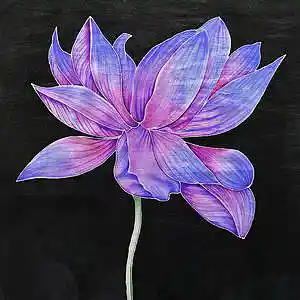 Picture for song 'Juice Wrld x PHARAOH Type Beat - Lotus 130 bpm' by artist 'WHAT?BOYBEATS'