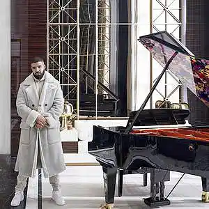 Picture for song 'FELICITY (Drake x Trevor Daniel Type Beat )' by artist 'BRIBE'