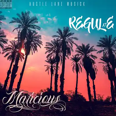 Picture for song 'Regulate' by artist 'Hustle Lane Musick'