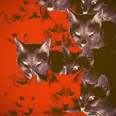 Picture for song '044 - griselda type beat BUY 1, GET 2 FREE' by artist 'KroM Beatz'