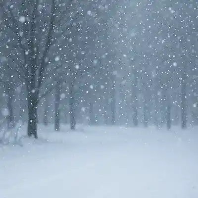 Picture for song 'Tombe la neige' by artist 'LARA (Larisa Velieva)'