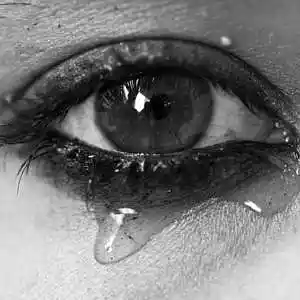Picture for song '65. Mil Lagrimas (POP)' by artist 'OfiboMusic.com'