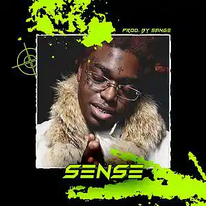 Picture for song 'Polo G x Toosii x Kodak Black Type Beat-Sense' by artist 'sange beats'