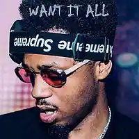 Picture for song 'Metro Boomin / Future Type Beat - Want It All' by artist 'Wet Beats'