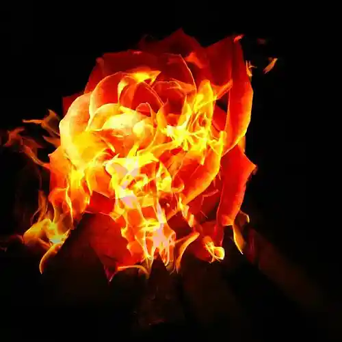 Picture for song 'Fenix - Deathstep' by artist 'Fade Wilson'
