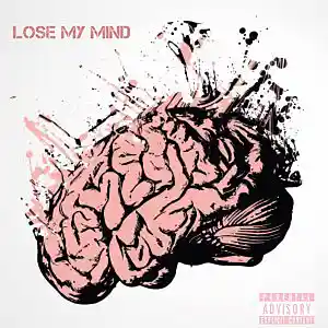 Picture for song 'lose my mind' by artist 'Lemon Driver'