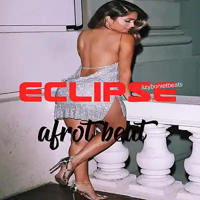 Picture for song 'eclipse-afrobeats type Tyga' by artist 'lizybonietbeats'