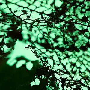 Picture for song 'Space Between The Stars' by artist 'Lost Life Preserver'