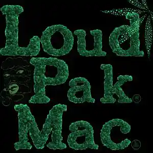 Picture for song 'GreenTree' by artist 'LoudPakMac'