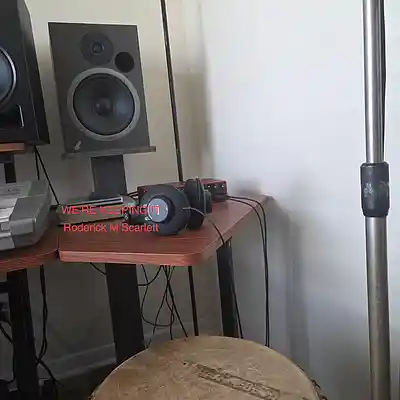 Picture for song 'WE'RE KEEPING IT' by artist 'Roderick M Scarlett'