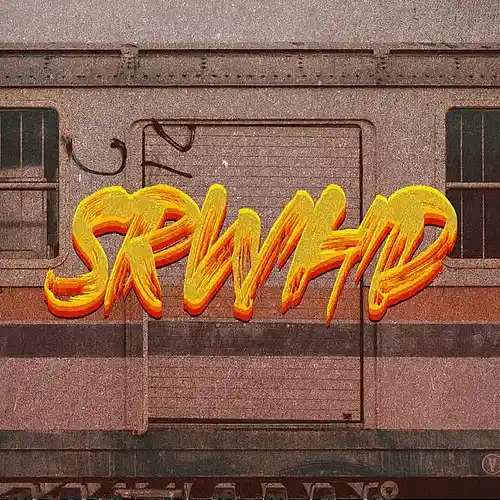 Picture for song 'Story' by artist 'srwhd'