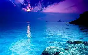 Picture for song 'Almost Blue' by artist 'Slugs Diner'