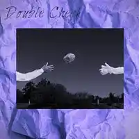 Picture for song 'Check Twice (Sonny Digital Type)' by artist 'SWAMIQ'