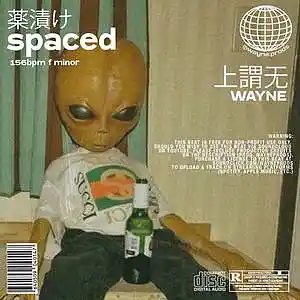Picture for song 'spaced' by artist 'wayne.prods'