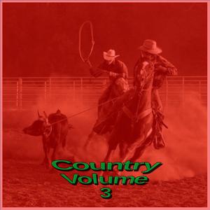 Picture for song 'Country 028 Storm Sad Old-Time Folk Ballad with ma' by artist 'Raven Productions'