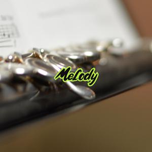 Picture for song 'Melody' by artist 'Anac On The Beat'