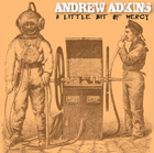 Picture for song 'A Little Bit Of Mercy' by artist 'Andrew Adkins'