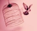 Picture for song 'Flight Risk' by artist 'Beth Williams'