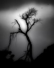 Picture for song 'Other Side(wHook)' by artist 'Black Light Music LLC'