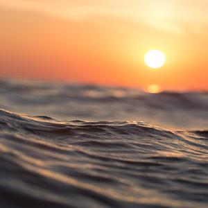 Picture for song 'Bobby Sowell - Sunset Jazz' by artist 'Bobby Sowell'